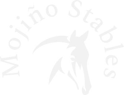 mojinostables_com logo